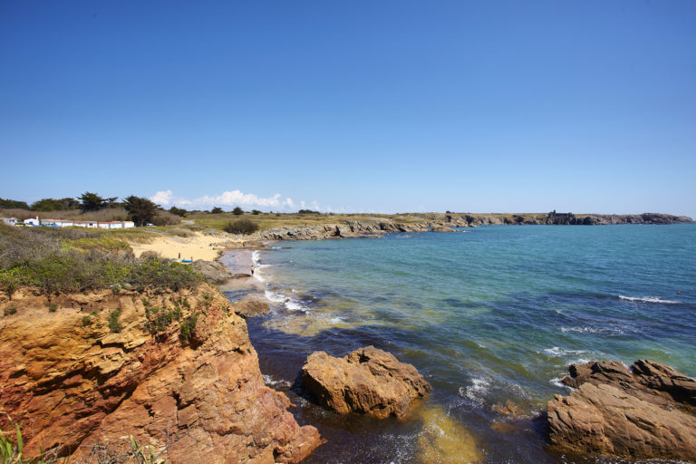 ile d yeu les sabias_A.Lamoureux_Vendee_Expansion_Yeu_3