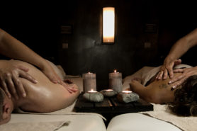 marais poitevin Massage en duo hotel spa vendee