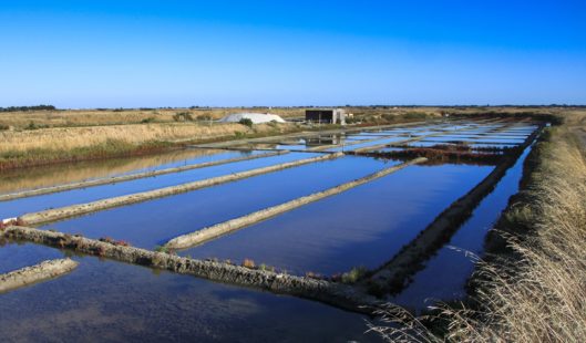 Marais salant Noirmoutier - Parenthèse Océan Voyages