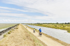Vélo bord de Loire - Parenthèse Océan Voyages