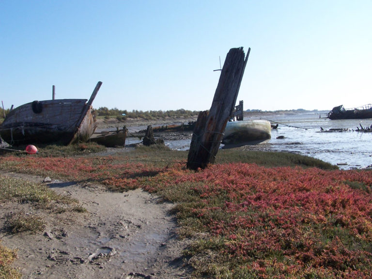 Cimetière des Bateaux île de Noirmoutier - Parenthèse Océan Voyages