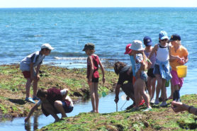 Groupe d'enfants à la pêche - Parenthèse Océan Voyages