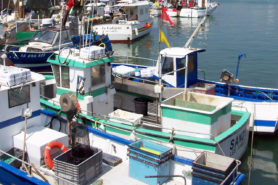 Bateaux de pêche à Saint Gilles - Parenthèse Océan Voyages