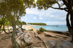 Paysage entre terre et mer à Noirmoutier - Parenthèse Océan Voyages
