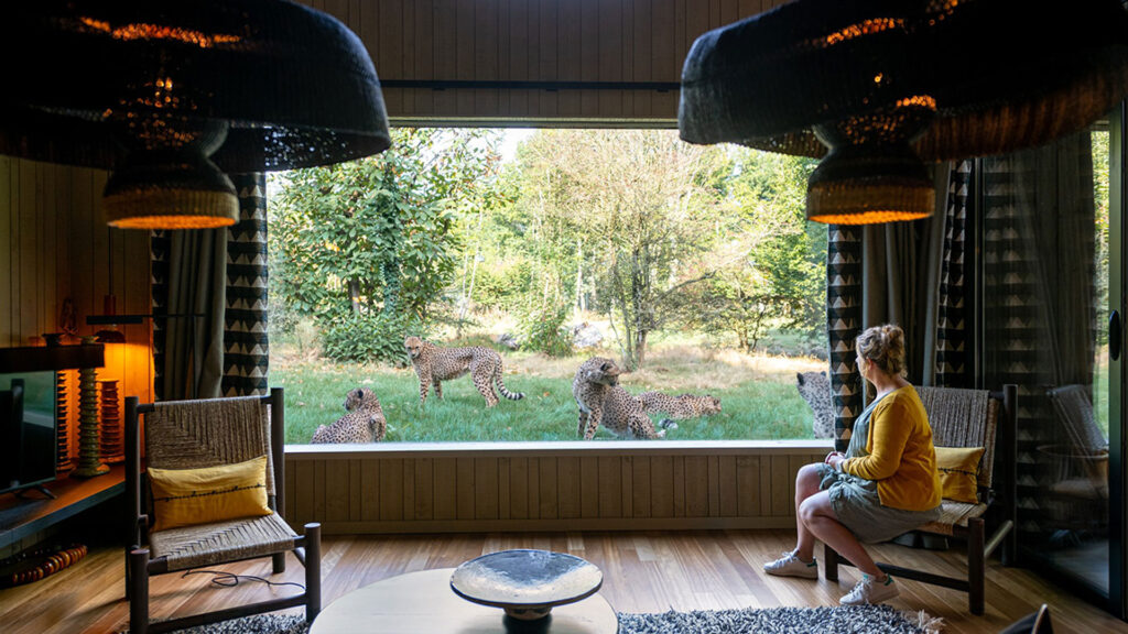 Lodge Guépard Planète Sauvage