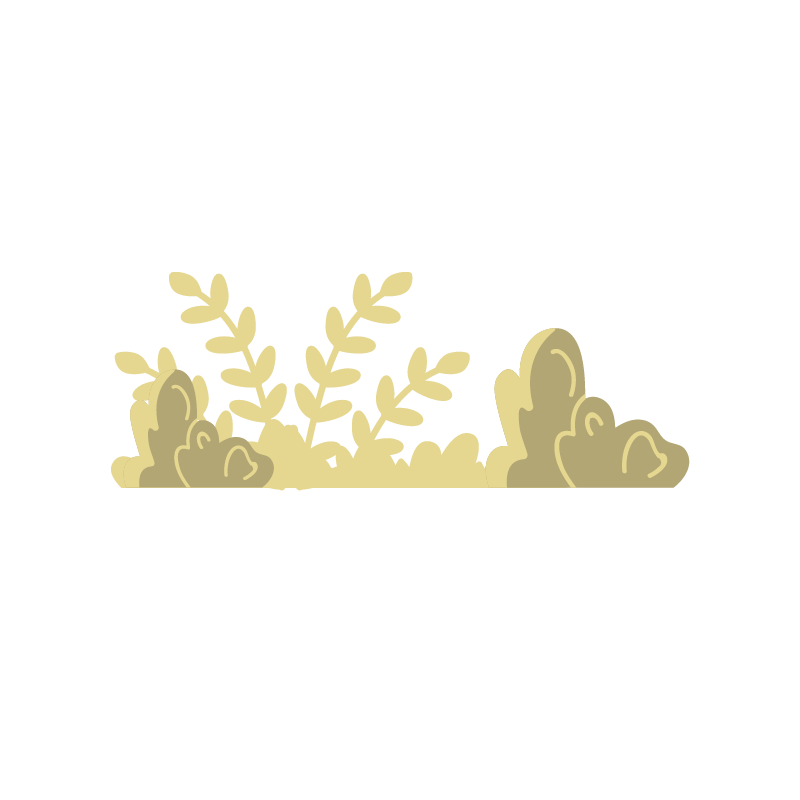 herbes séjours au printemps